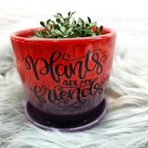 🌞2 for $20🌞Funny sayings plant pot